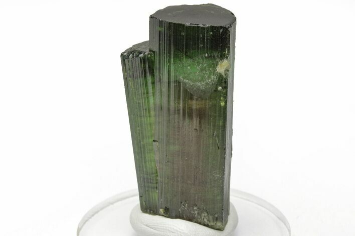 Bicolor Elbaite Watermelon Tourmaline Cluster - Brazil #217548